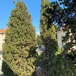 Specious And Newly Decorated At Bacvice Apartment Split